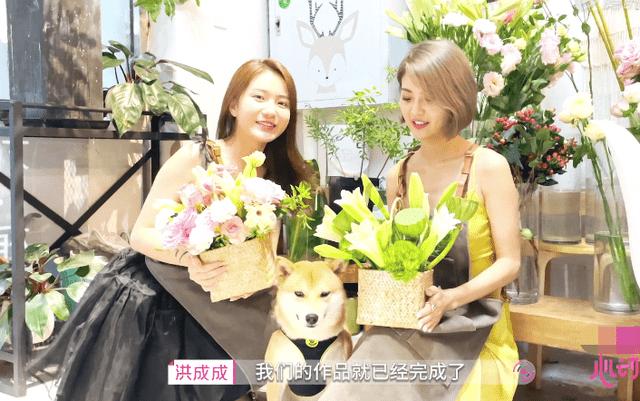 总是会做连环梦，和很久几年前做过的梦，为什么？游戏画面