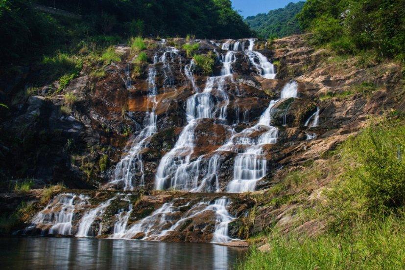 几块钱一瓶的“甲硝唑”,能摆平4种病?别白白错过了